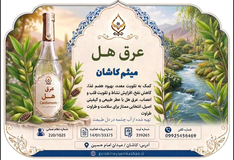فواید و کاربردهای عرق هل؛ چرا عرق هل یکی از محبوبترین عرقیات گیاهی است؟
