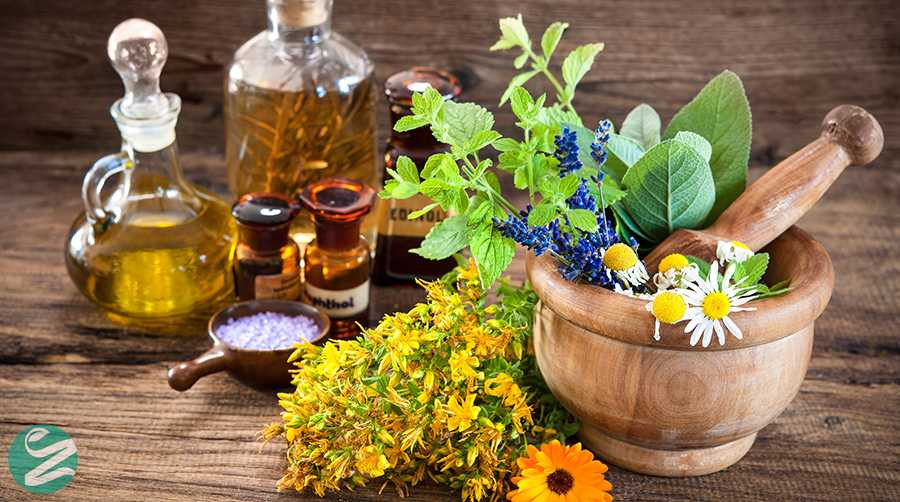 معجون گیاهی دیابت چیست؟ ترکیبات، روش مصرف و نکات مهم خرید