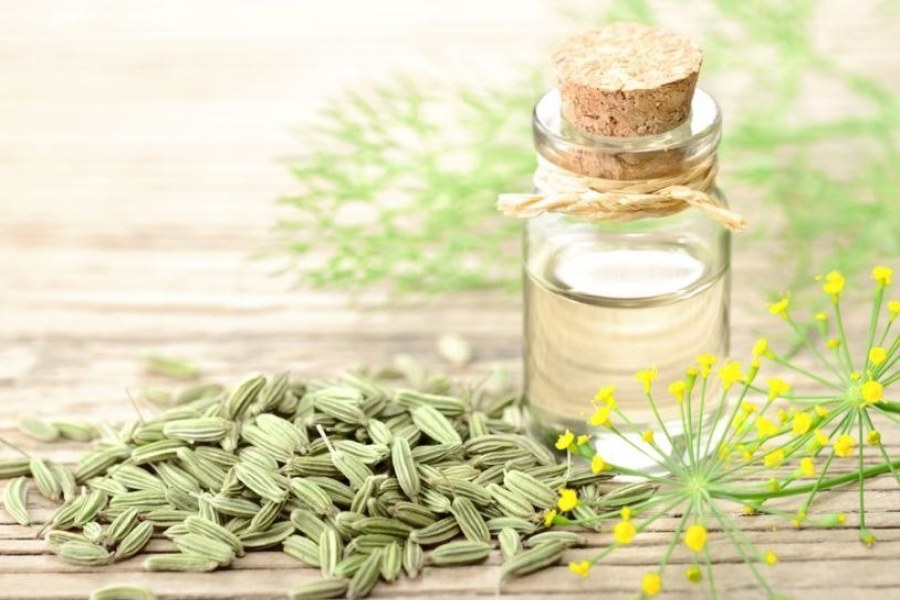 عرق رازیانه چیست؟ خواص، کاربردها و راهنمای خرید عرق رازیانه طبیعی