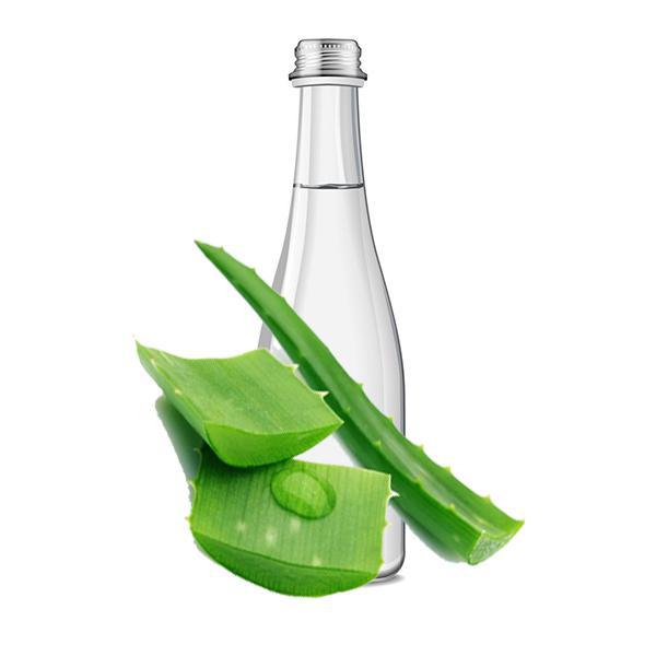 عرق آلوئه ورا چیست؟ خواص، کاربردها و راهنمای خرید عرق آلوئه ورا اصل