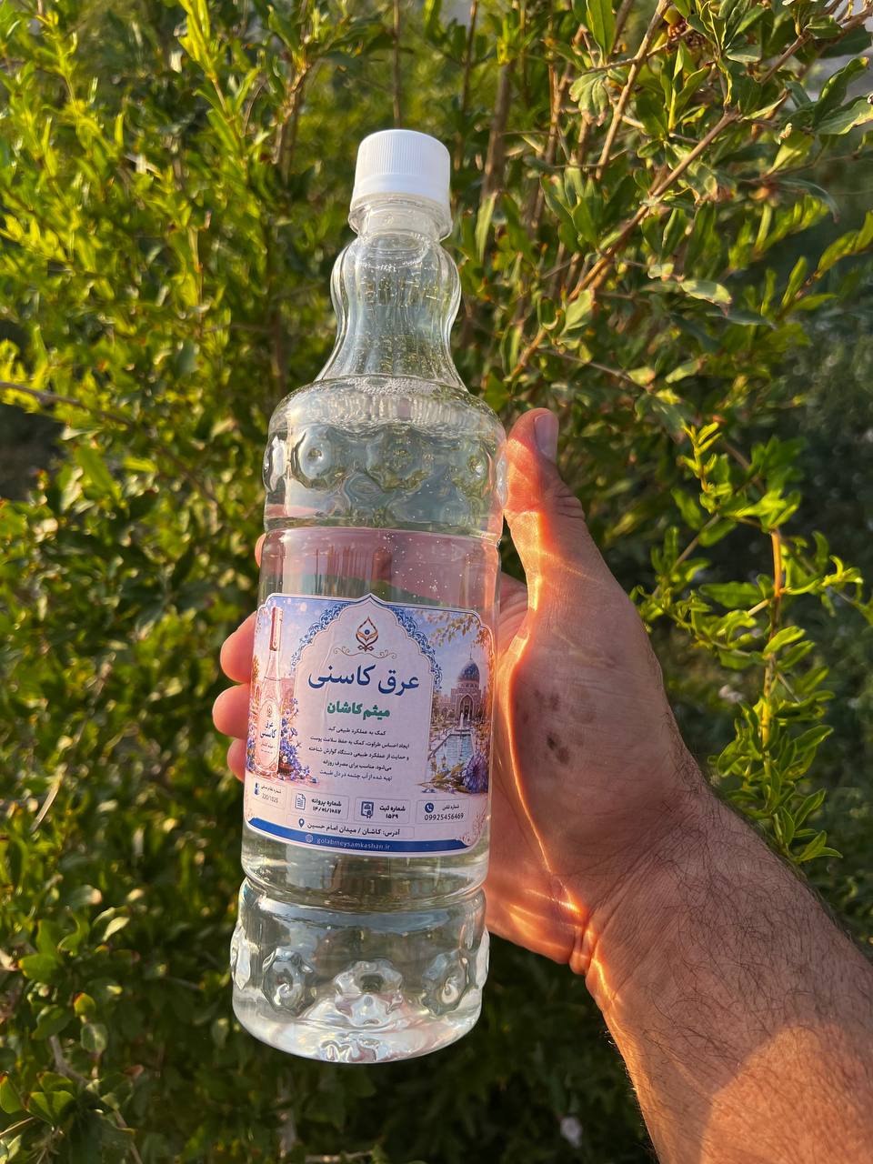 عرق کاسنی گلاب میثم کاشان /معجون کبد/کیفیت اعلا