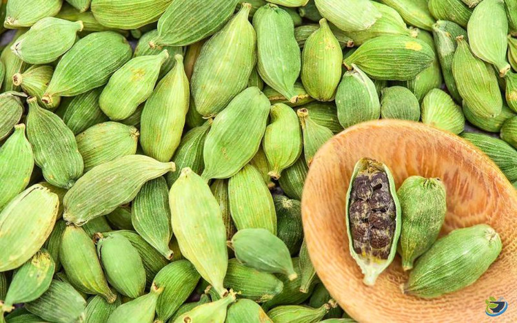 عرق هل گلاب میثم کاشان | عرق هل به شدت معطر