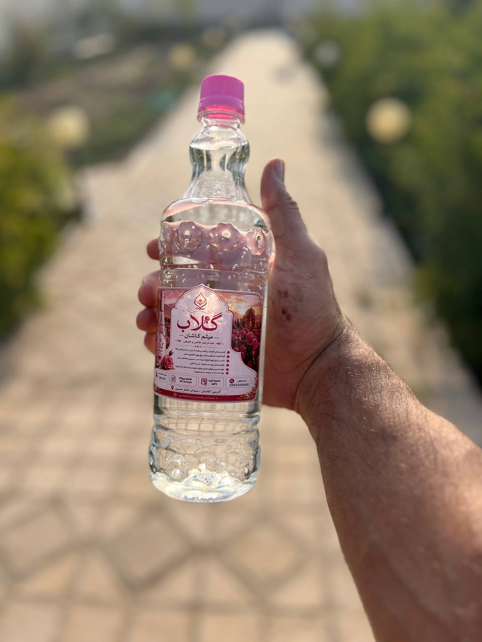 گلاب میثم کاشان | گلاب اصیل ایرانی با عطر طبیعی