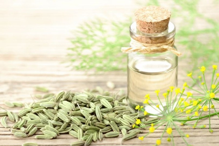 عرق زنیان گلاب میثم کاشان | عرق گیاهی زنیان