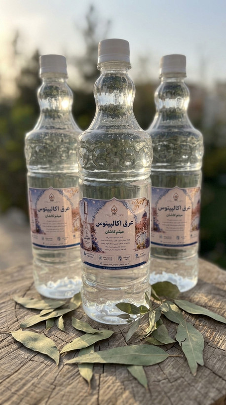 عرق اکالیپتوس اصل و خالص /خرید عرق اکالیپتوس طبیعی وبا کیفیت ممتاز