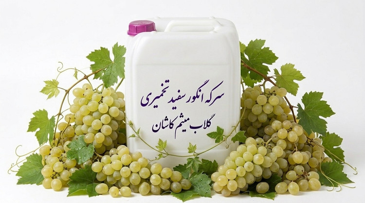 سرکه انگورسفید تخمیری/سرکه انگور اصیل و تازه/سرکه انگور با کیفیت ممتاز