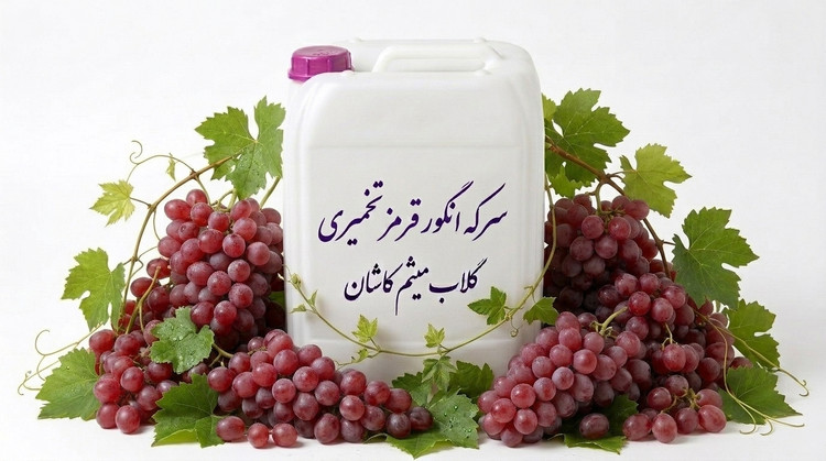 سرکه انگور قرمز تخمیری/سرکه انگور قرمز تخمیری اصیل و تازه/سرکه انگور قرمز تخمیری با کیفیت ممتاز