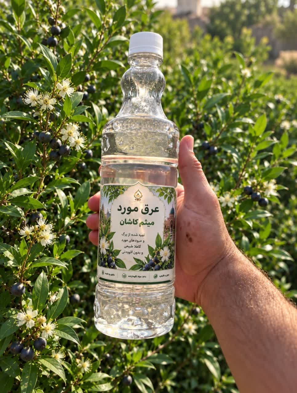 عرق مورد گلاب میثم کاشان | عرق گیاهی اصیل و باکیفیت